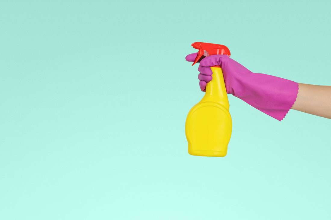 Home Cleaning Tools: Pick the Right Tools for Your Home